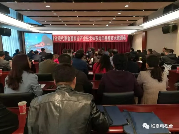 全省现代草食畜工业手艺系统专家组在我州开展肉羊养殖手艺培训和手艺效劳运动 - 时政要闻 - 资讯中心 - 肉羊,养殖,手艺,工业,专家组,我州,开展,手艺效劳,运动