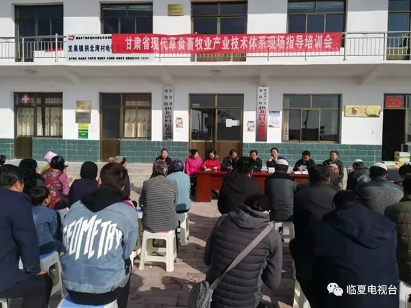 全省现代草食畜工业手艺系统专家组在我州开展肉羊养殖手艺培训和手艺效劳运动 - 时政要闻 - 资讯中心 - 肉羊,养殖,手艺,工业,专家组,我州,开展,手艺效劳,运动