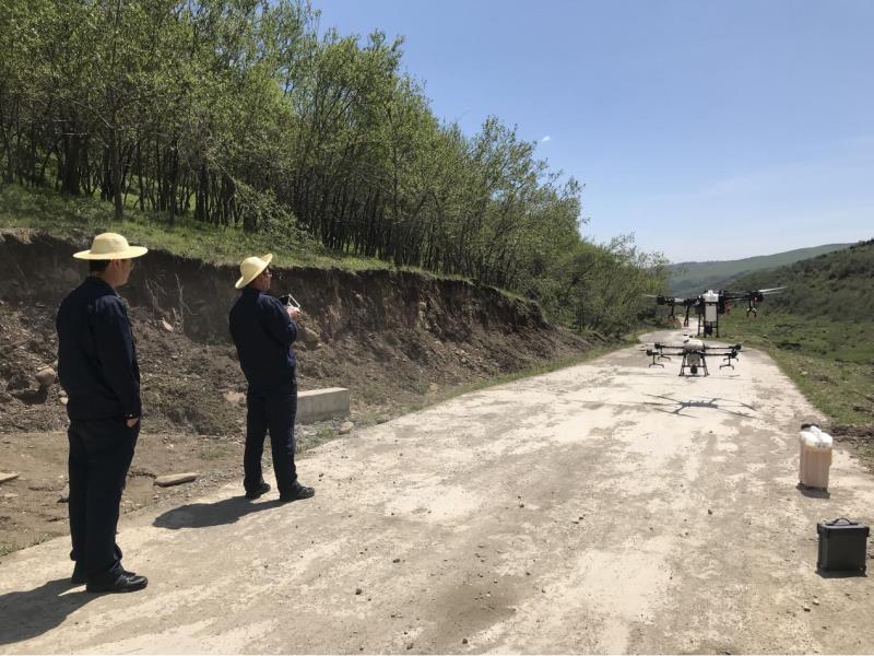 临夏凯恒咨询效劳有限公司在临夏县三岔坪国营林场开展无人机飞防作业 - 子公司要闻 - 资讯中心 - 凯恒   无人机
